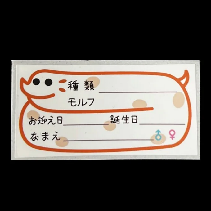 ネームステッカー